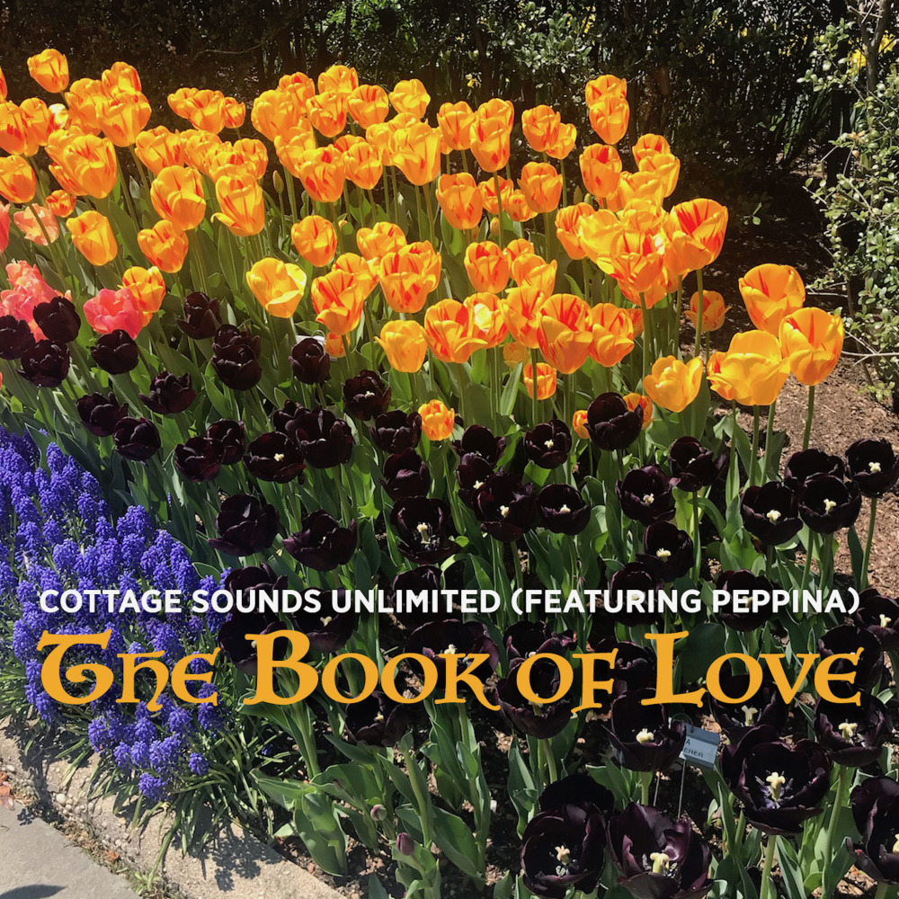 The Book of Love