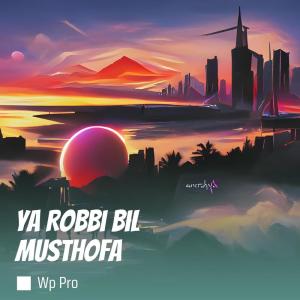 收听Wp Pro的Ya Robbi Bil Musthofa (Remix)歌词歌曲