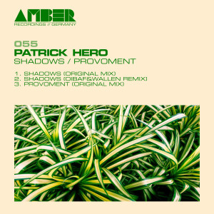 Album Shadows / Provoment from Patrick Hero