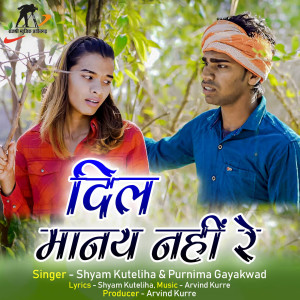 收聽Shyam Kuteliha的Dil Manay Nahi Re (Chhattisgarhi Song)歌詞歌曲