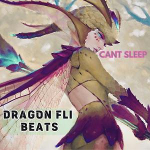 收聽DragonFli Beats的Cant Sleep (feat. Alonestar & salvia palth)歌詞歌曲
