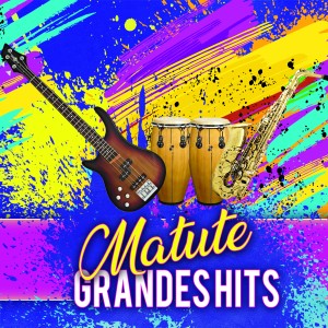 Album Grandes Hits from Matute