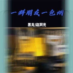 Album 一群朋友一包烟（DJ花哨版） from Hei long (黑龙)