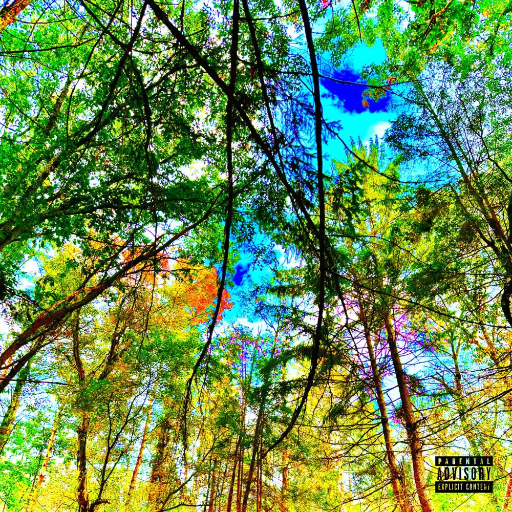 GLOW UP (feat. r0th) (Explicit)