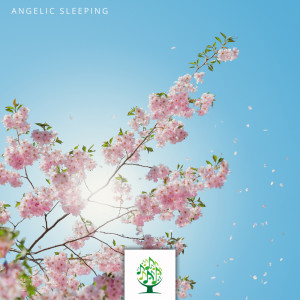 ดาวน์โหลดและฟังเพลง Aeoliah พร้อมเนื้อเพลงจาก Mother Nature Sound FX