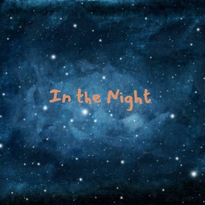 收聽The Du Droppers的In the Night歌詞歌曲
