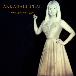 Listen to Vay Seni Vay Vay song with lyrics from Ankaralı İclal