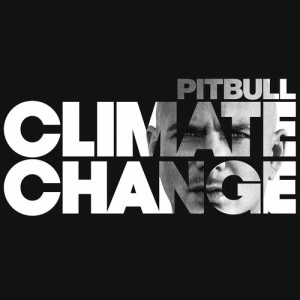 ดาวน์โหลดและฟังเพลง Options (Explicit) พร้อมเนื้อเพลงจาก Pitbull