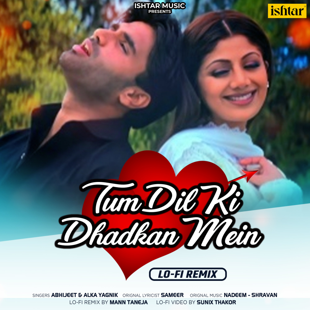 Tum Dil Ki Dhadkan Mein (Lo - Fi Remix)