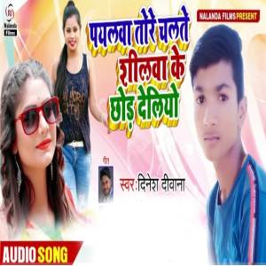 收聽Dinesh Deewana的Payalwa Tore Chalte Shilwa Ke Chhod Delio歌詞歌曲