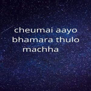 Cheumai Aayo Bhamara Thulo Machha