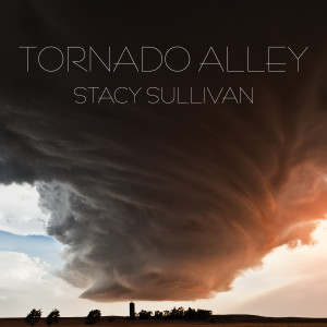 ดาวน์โหลดและฟังเพลง A Team พร้อมเนื้อเพลงจาก Stacy Sullivan