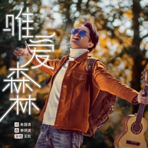 Listen to 唯爱森林 (伴奏) song with lyrics from 王凯