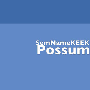 收聽SemNameKEEK的Possum (Explicit)歌詞歌曲