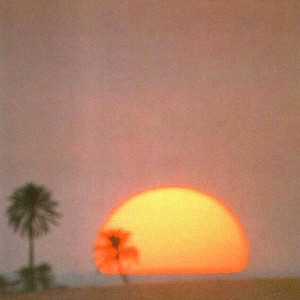 Stevan的專輯Vibrations