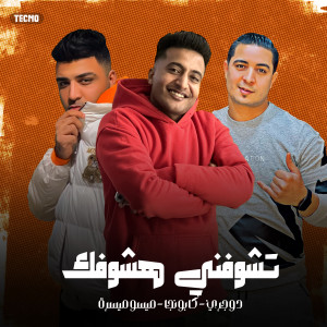 收听احمد الدوجري的تشوفني هشوفك歌词歌曲