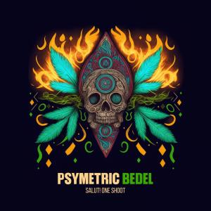 Dengarkan lagu Salut! One Shot nyanyian Psymetric dengan lirik