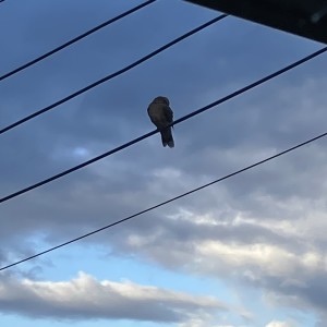 ดาวน์โหลดและฟังเพลง Mind Game พร้อมเนื้อเพลงจาก Twilight_Mix_Music