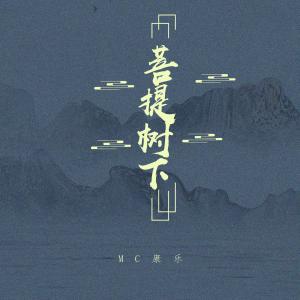 Album 菩提树下 (Dj浪子康版) from 康乐