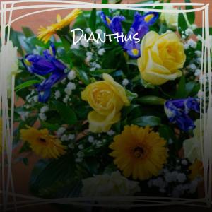 Dengarkan lagu No one Noc nyanyian Maty Sadick dengan lirik