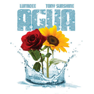 Listen to Agua song with lyrics from Lumidee