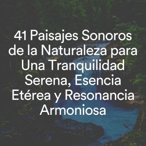 Album 41 Paisajes Sonoros de la Naturaleza para Una Tranquilidad Serena, Esencia Etérea y Resonancia Armoniosa from Musicoterapia