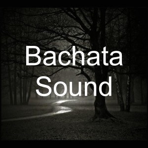 Listen to Y por Eso Bebo song with lyrics from Blas Durán