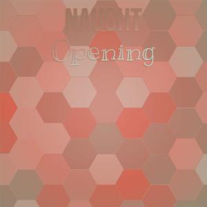 อัลบัม Naught Opening ศิลปิน Various