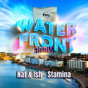 Vibez Productionz的專輯Stamina (Water Front Riddim)