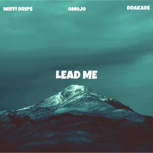 Wiffi Drips的專輯Lead Me