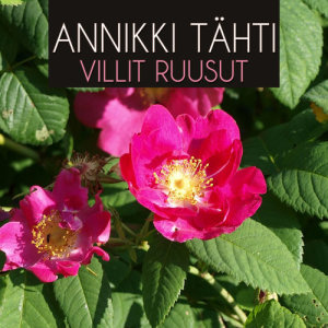 ดาวน์โหลดและฟังเพลง Villit Ruusut พร้อมเนื้อเพลงจาก Annikki Tähti