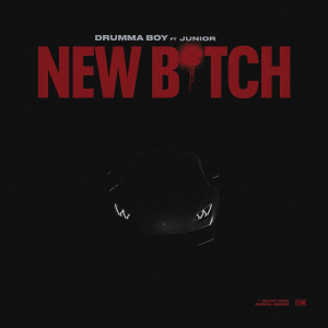Dengarkan New Bitch (Explicit) lagu dari Drumma Boy dengan lirik