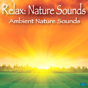收聽Relax: Nature Sounds的Music & Nature歌詞歌曲