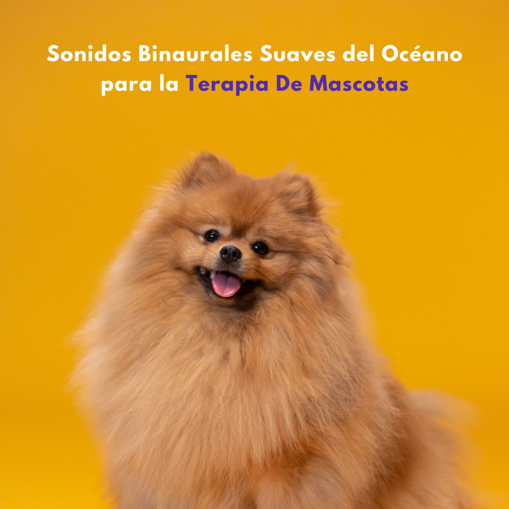 Sonidos De Terapia Con Conchas Marinas