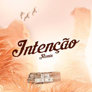 Album Intenção (Remix) oleh DJ Teo