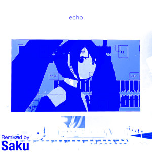 Listen to echo (feat. 初音ミク) (TEMPLIME Remix) song with lyrics from higma