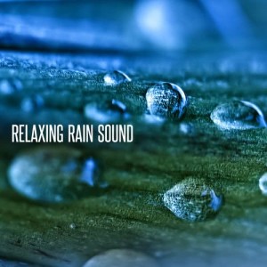 ดาวน์โหลดและฟังเพลง Night Rain พร้อมเนื้อเพลงจาก Relaxing Rain Sounds