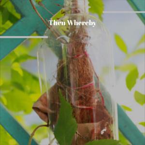 Listen to Shelf Coffeecake song with lyrics from Kaisa Mant