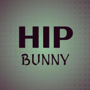 Dengarkan Hip Bunny lagu dari Eino Viter dengan lirik