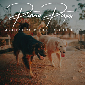 Piano Pups: Meditative Melodies for Dogs