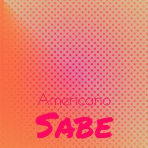 Album Americano Sabe from Various