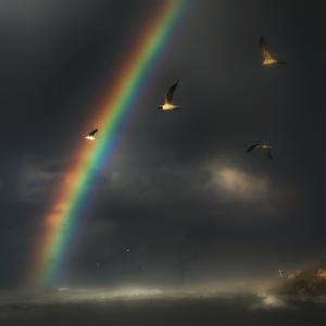 อัลบัม kiss my wounds ศิลปิน Anees