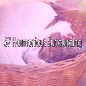 Listen to Rapid Sleeping song with lyrics from Spa & Spa