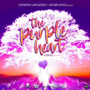 Album The Purple Heart Riddim from Farmer Nappy