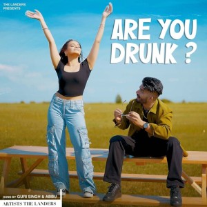 Album Are You Drunk ? from The Landers