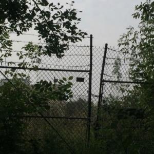 1kkyoto的專輯attention