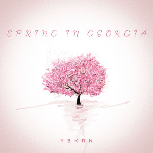 Spring in Georgia dari YBKRN