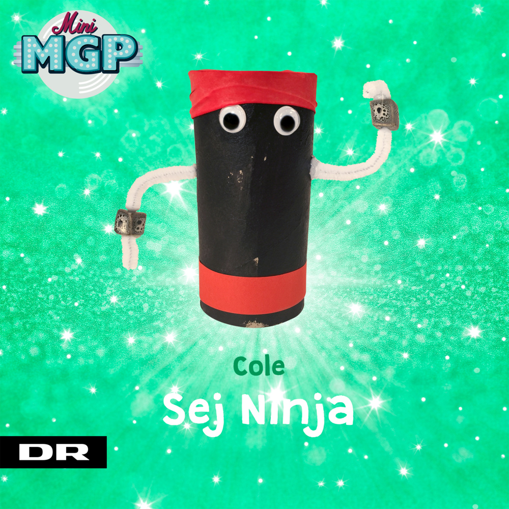 Sej Ninja