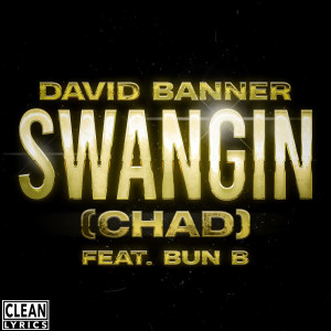 Album Swangin (Chad) from David Banner