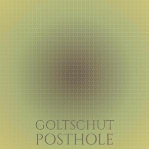 Album Goltschut Posthole oleh Various